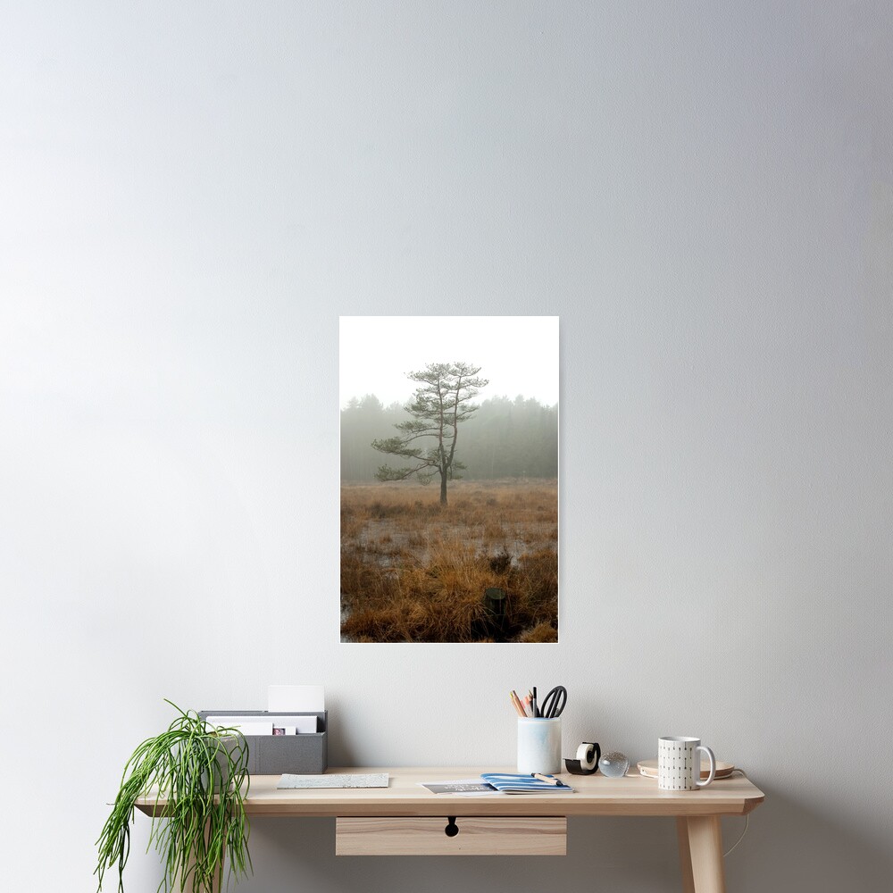 Silent tree in misty land Poster