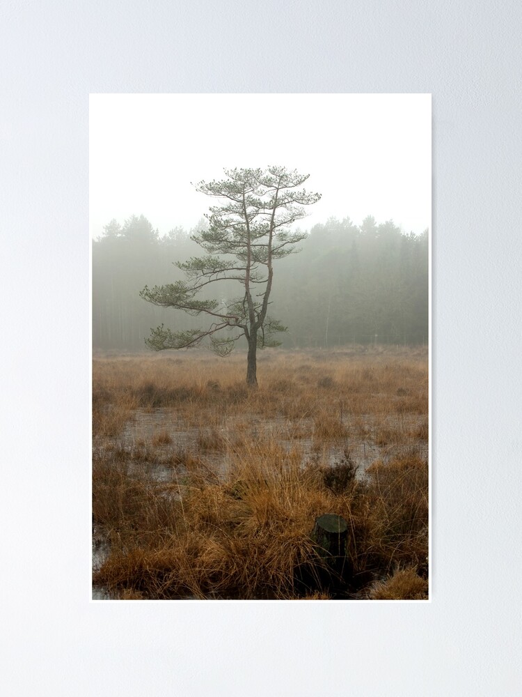 Alternate view of Silent tree in misty land Poster