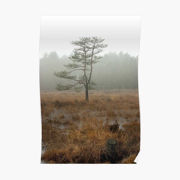 Silent tree in misty land Poster