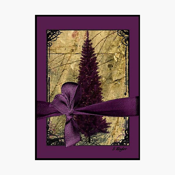 Seasons greetings Photographic Print