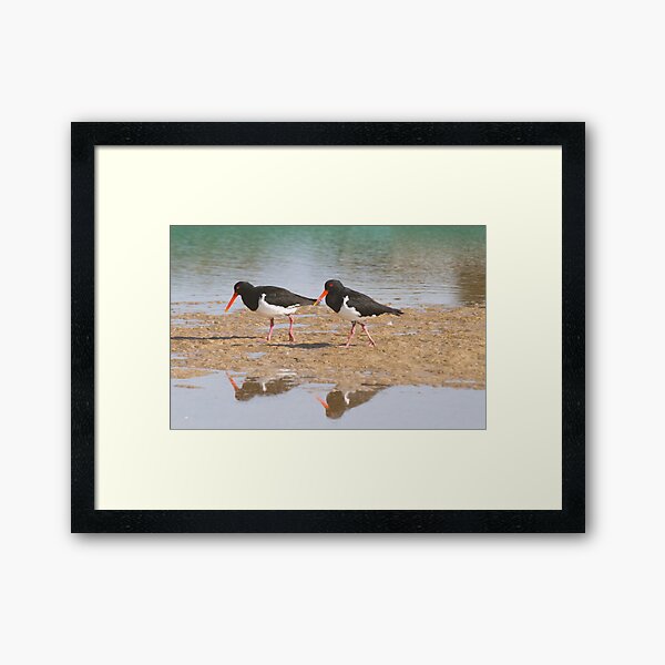 Reflected Framed Art Print