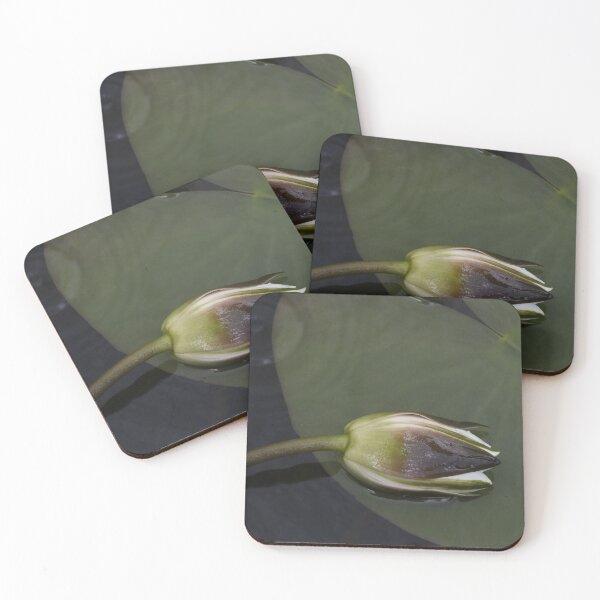 Item preview, Hidden pond 3 designed and sold by Julia Pärnänen.