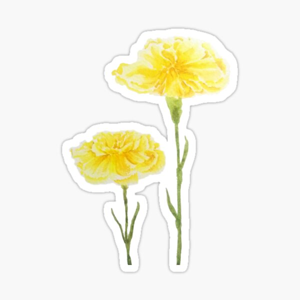 Item preview, hand painted Two yellow carnation watercolor painting  designed and sold by ColorandColor.