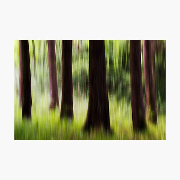 Photographic Print