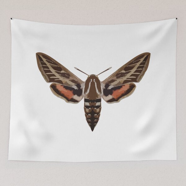 Item preview, Butterfly moth designed and sold by rice-shirts.