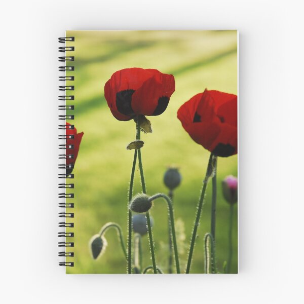 Item preview, Red Poppies designed and sold by John Rainford.