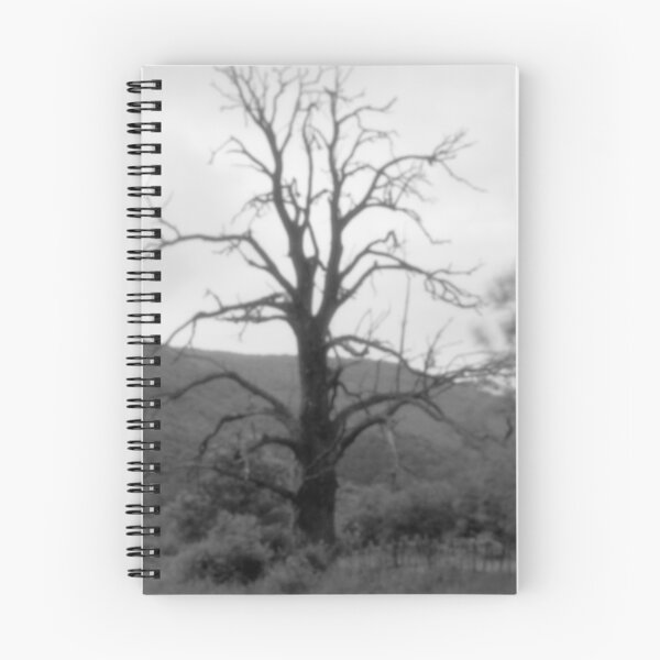 Item preview, 2014 L'albero vecchio designed and sold by robertoferrero.