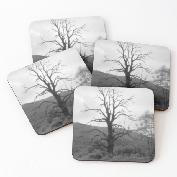 Item preview, 2014 L'albero vecchio designed and sold by robertoferrero.