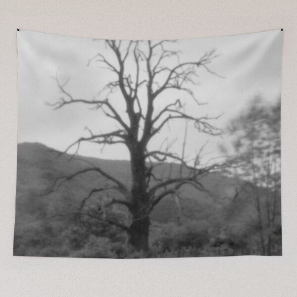 Item preview, 2014 L'albero vecchio designed and sold by robertoferrero.