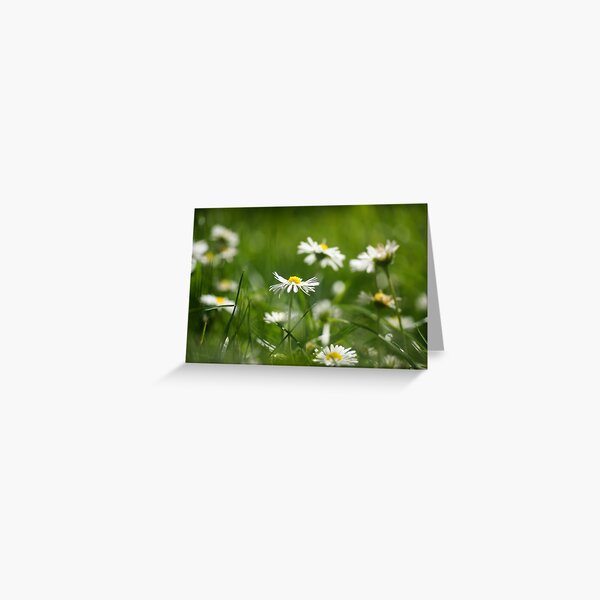 flowers in my garden Greeting Card