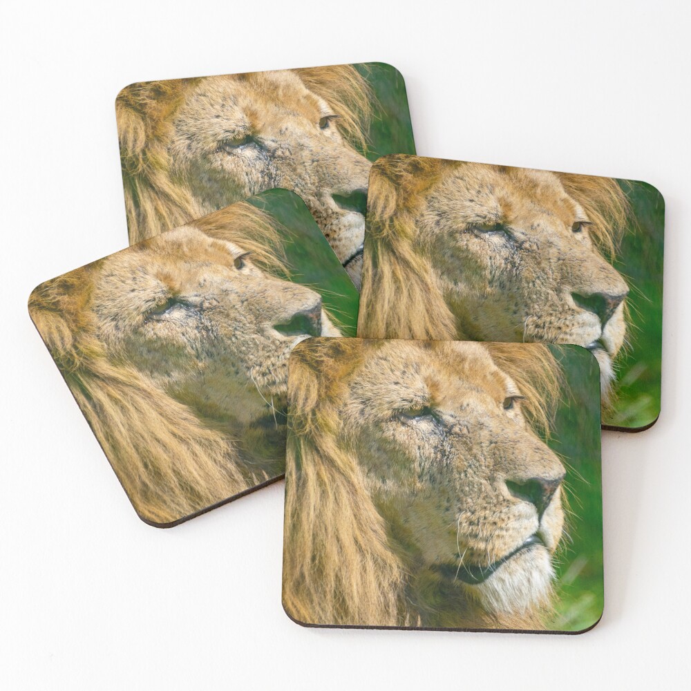 Item preview, Coasters (Set of 4) designed and sold by Ruffus11.