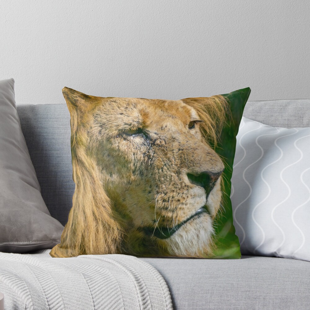 Item preview, Throw Pillow designed and sold by Ruffus11.
