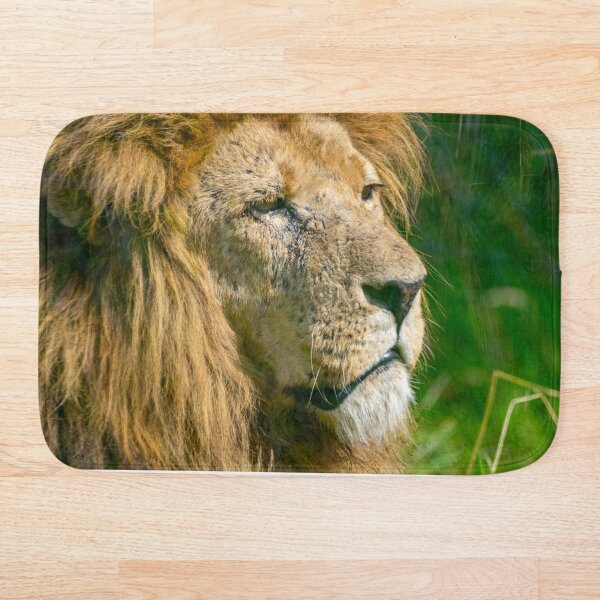 Artikelvorschau, Lion Pride entworfen und verkauft von John Stoves.
