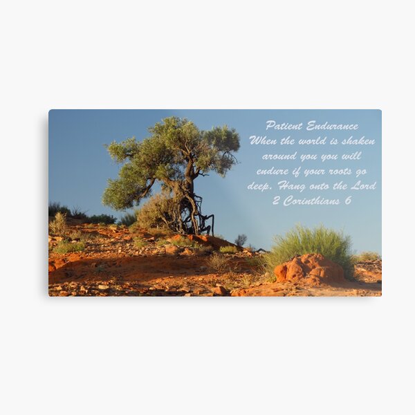Endurance in the desert Metal Print