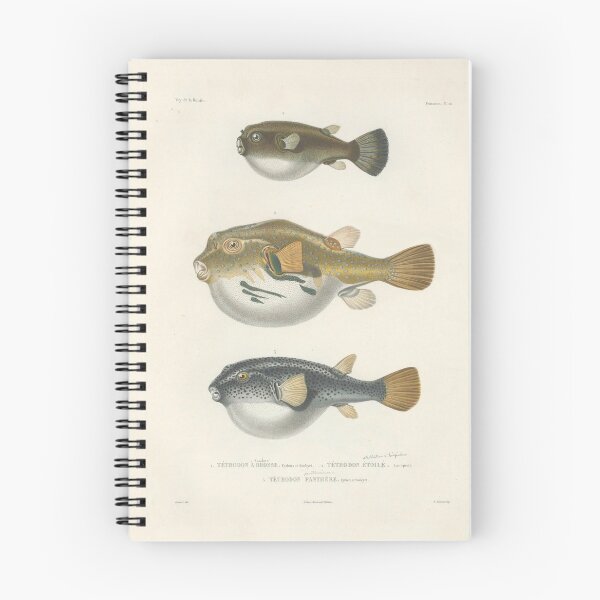 Item preview, Naturalist Pufferfish designed and sold by BlueSpecsStudio.