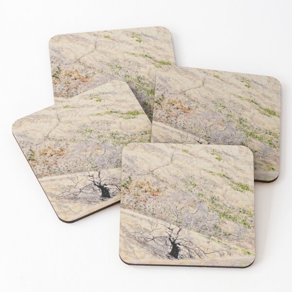 Item preview, Remains of a tree adds beauty to the landscape designed and sold by imaginethis.