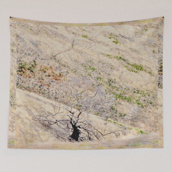 Item preview, Remains of a tree adds beauty to the landscape designed and sold by imaginethis.