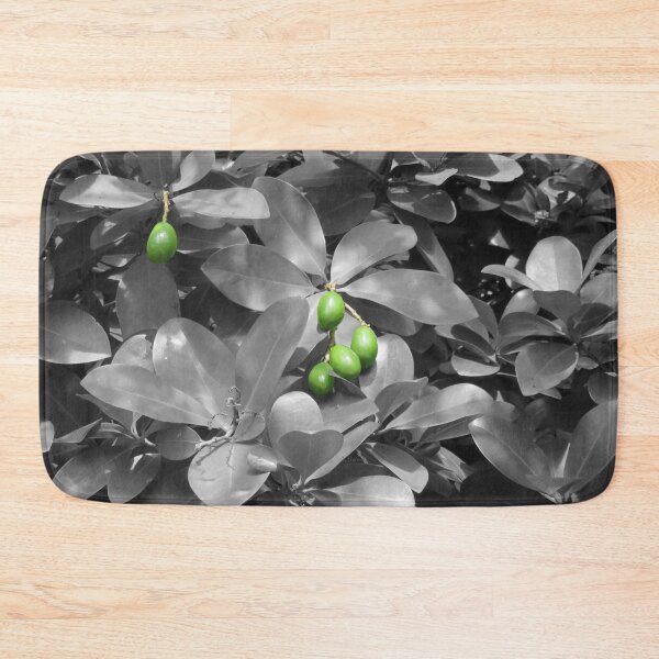 Item preview, Macadamia nuts on black and white background designed and sold by AHELENE.
