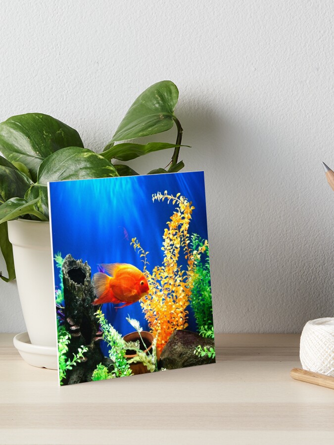 Fish tank aquarium Poster for Sale by mwagie