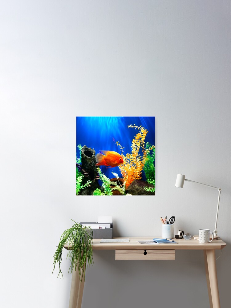 Fish tank aquarium Poster for Sale by mwagie