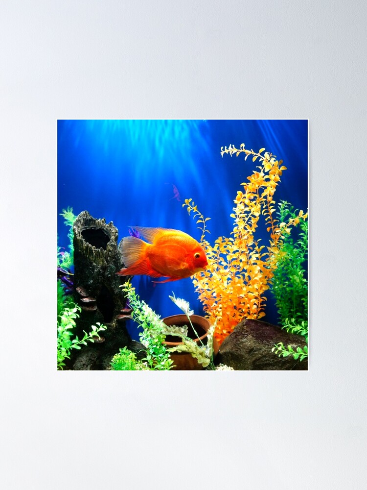 Fish tank aquarium Poster for Sale by mwagie