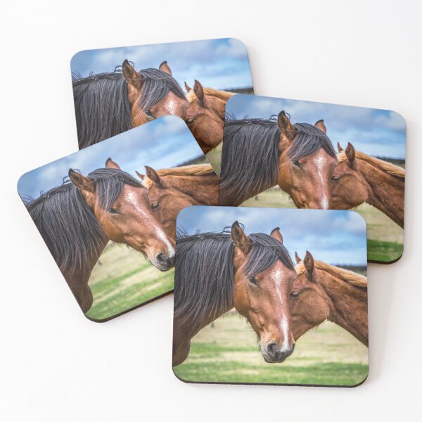 Item preview, Mother and son designed and sold by Dave Hare Photography.