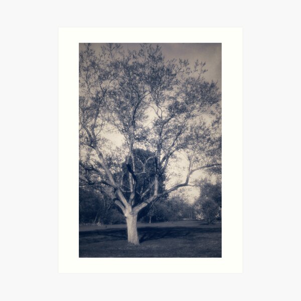 Afternoon In The Park Art Print