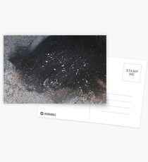 large,giant dogs paw Postcards