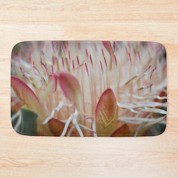 Item preview, Blue Sugarbush, Protea Nerifolia designed and sold by imaginethis.