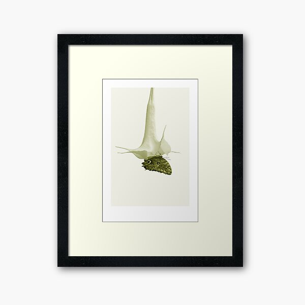 Monochrome - At the butterfly ball Framed Art Print