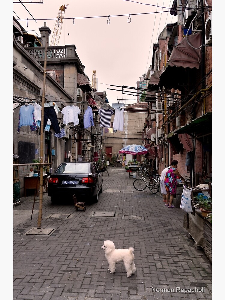 Chinese Laundry - Shanghai, China by keystone