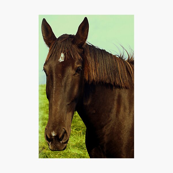 Item preview, Brown Eyed Beauty. designed and sold by Aj Finan.