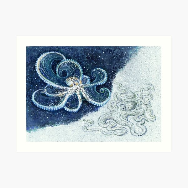 Postcards for the Reef 12: A pair of Mimic Octopi Art Print
