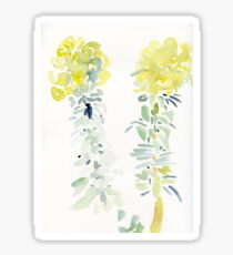 Euphorbia Sticker