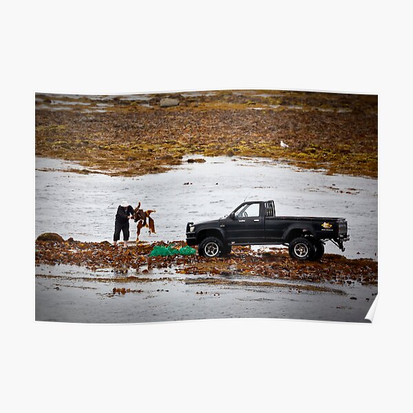 Kelp Harvesting on Inish Mor Poster