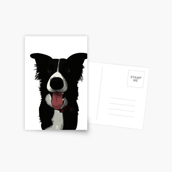Border Collie Postcard