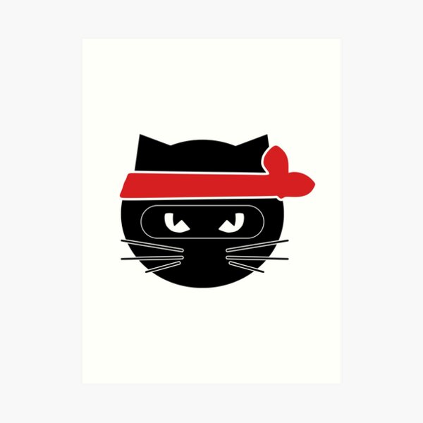sneaky ninja cat video