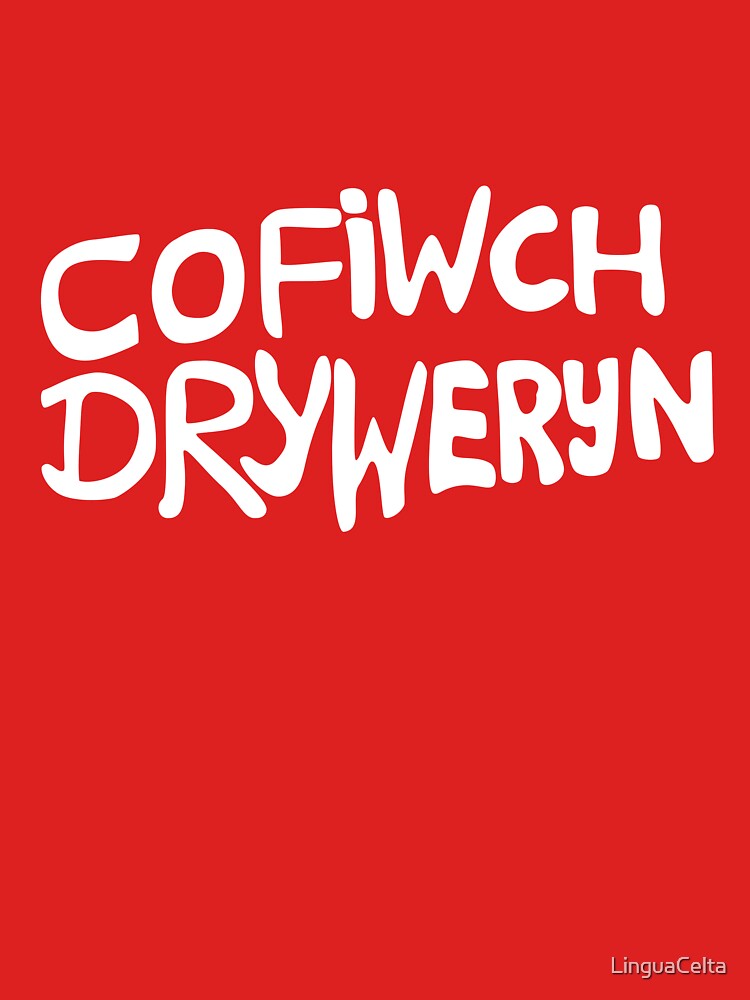 Cofiwch Dryweryn by LinguaCelta