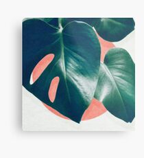 MONSTERA #1 Metal Print