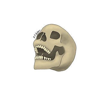 Artwork thumbnail, Skull by K-AEyston