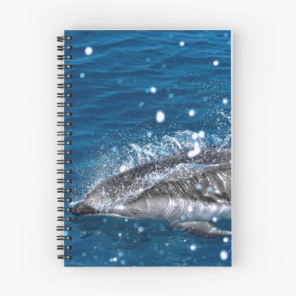 Item preview, Winter designed and sold by Selena Rivera.