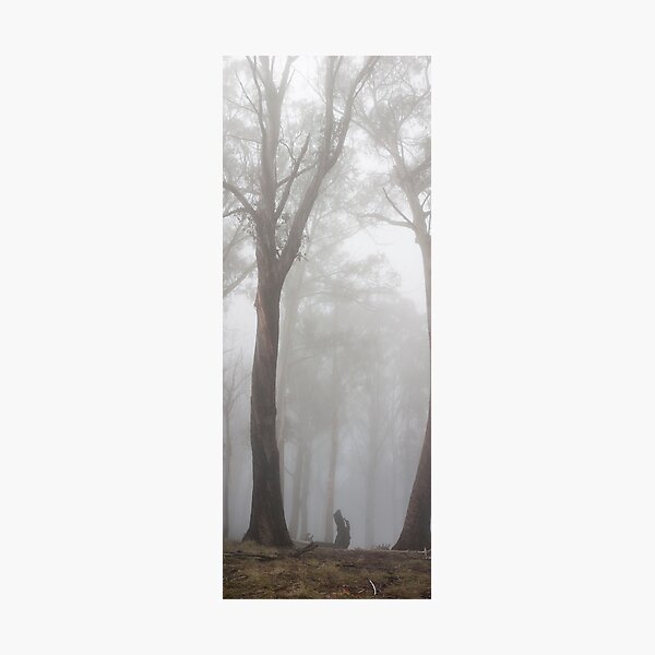 Item preview, Through the fog designed and sold by Will Hore-Lacy.