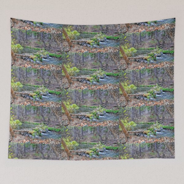 Item preview, Colorado bend designed and sold by Savannah Gibbs.