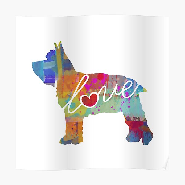 Mini Schnauzer Love - A Bright and Colorful Watercolor Style Gift Poster