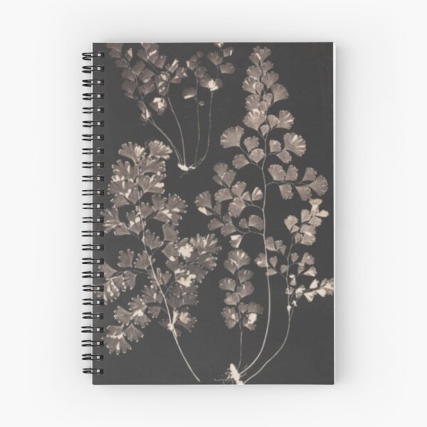 Item preview, Black Maidenhair designed and sold by BlueSpecsStudio.