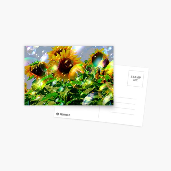 Bubbly Make A Wish Sunflowers Postcard