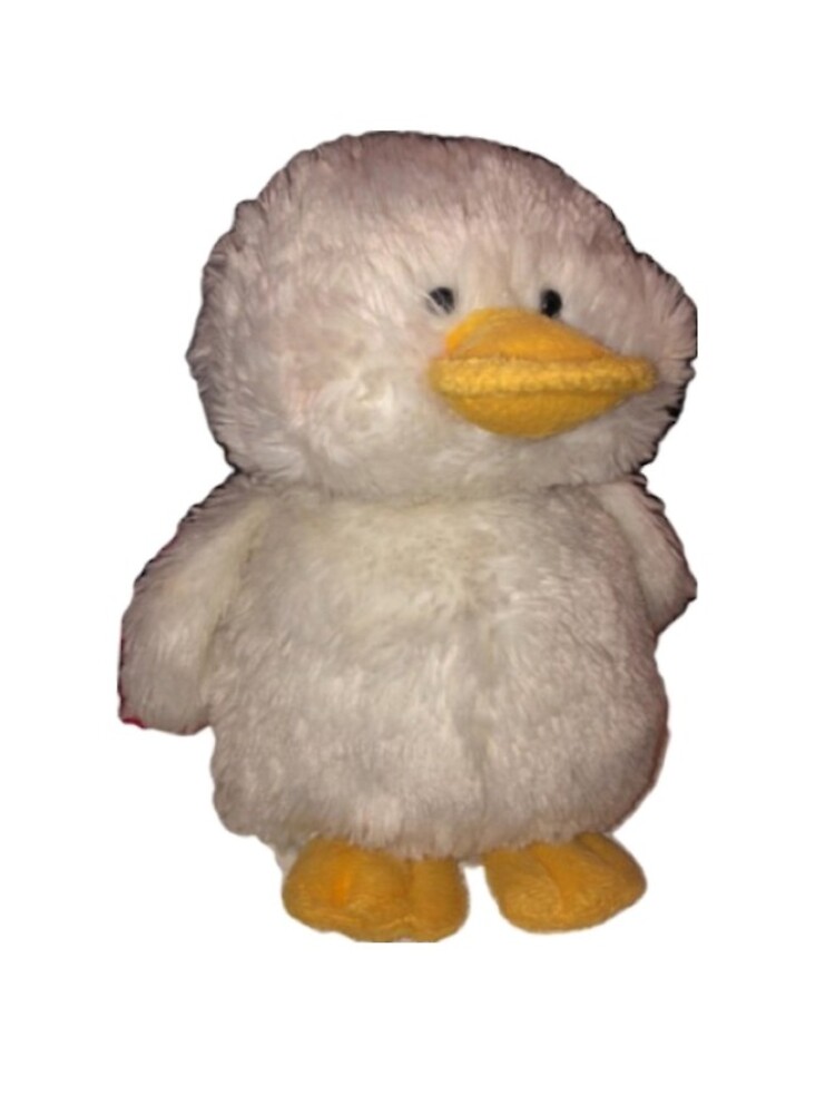 duck from webkinz