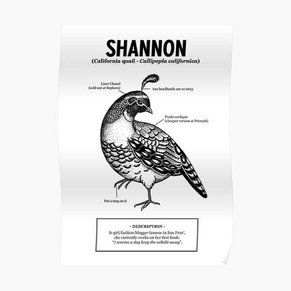 Une caille nommée Shannon Poster