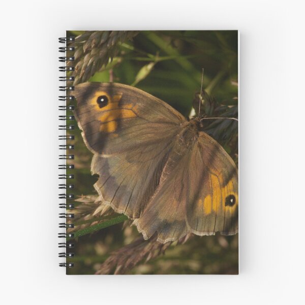 Item preview, MELLOW MEADOWS ... designed and sold by NICK COBURN PHILLIPS.