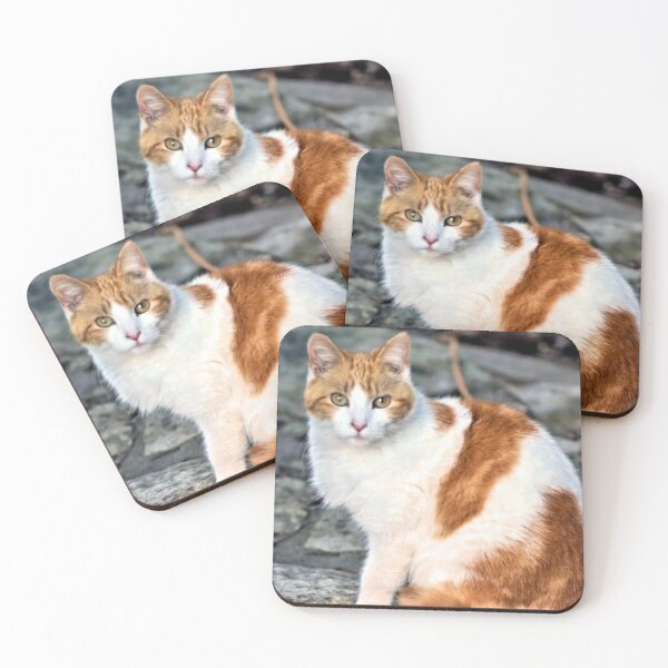 Item preview, Miss Kitty designed and sold by Carla Jensen.